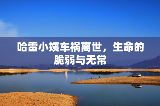 哈雷小姨车祸离世，生命的脆弱与无常