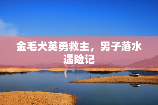 金毛犬英勇救主，男子落水遇险记