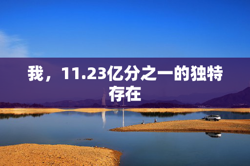 我，11.23亿分之一的独特存在