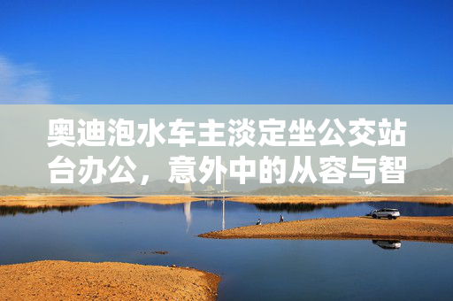 奥迪泡水车主淡定坐公交站台办公，意外中的从容与智慧