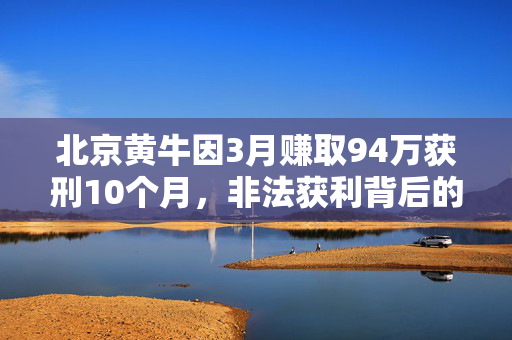 北京黄牛因3月赚取94万获刑10个月，非法获利背后的法律与道德困境