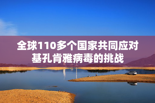 全球110多个国家共同应对基孔肯雅病毒的挑战