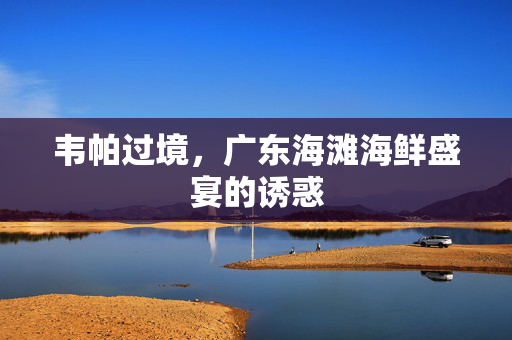 韦帕过境，广东海滩海鲜盛宴的诱惑