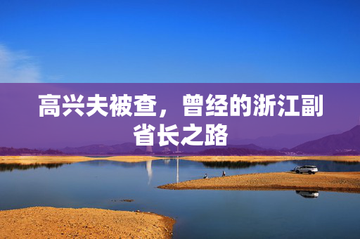 高兴夫被查，曾经的浙江副省长之路