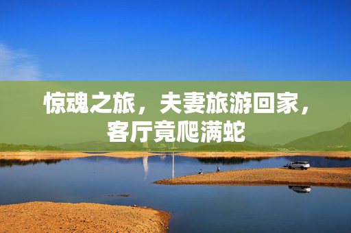惊魂之旅，夫妻旅游回家，客厅竟爬满蛇