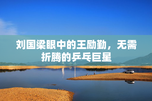 刘国梁眼中的王励勤，无需折腾的乒乓巨星