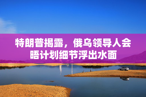 特朗普揭露，俄乌领导人会晤计划细节浮出水面