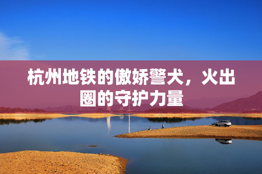 杭州地铁的傲娇警犬，火出圈的守护力量