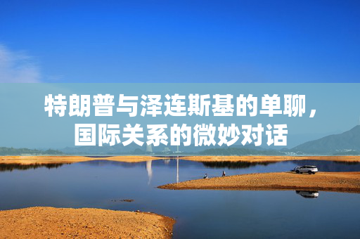 特朗普与泽连斯基的单聊，国际关系的微妙对话