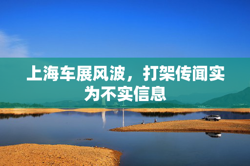 上海车展风波，打架传闻实为不实信息