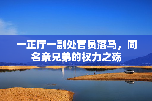 一正厅一副处官员落马，同名亲兄弟的权力之殇
