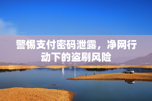 警惕支付密码泄露，净网行动下的盗刷风险