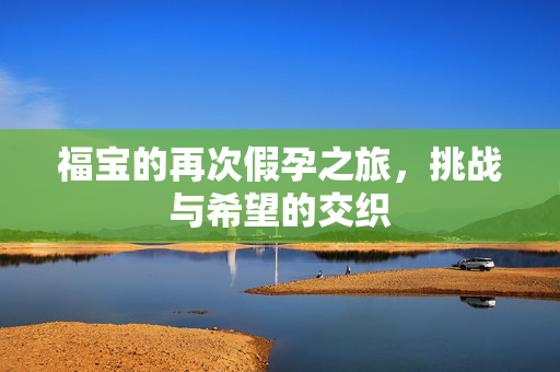 福宝的再次假孕之旅，挑战与希望的交织