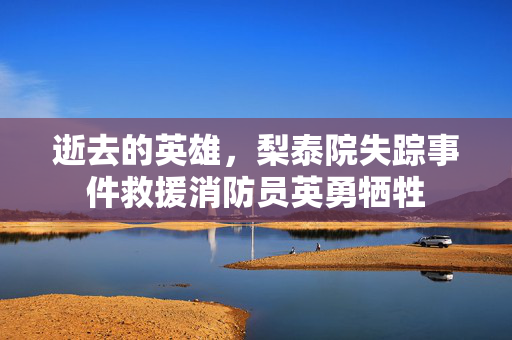 逝去的英雄，梨泰院失踪事件救援消防员英勇牺牲