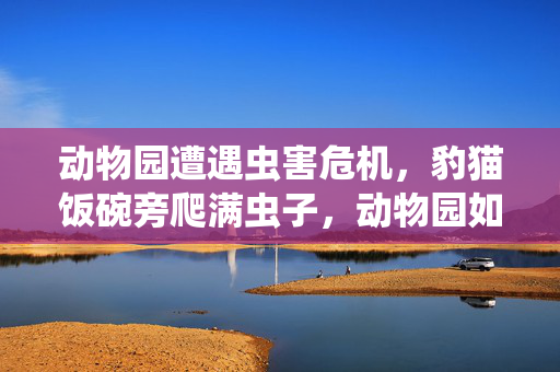动物园遭遇虫害危机，豹猫饭碗旁爬满虫子，动物园如何回应？