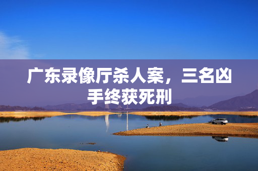广东录像厅杀人案，三名凶手终获死刑