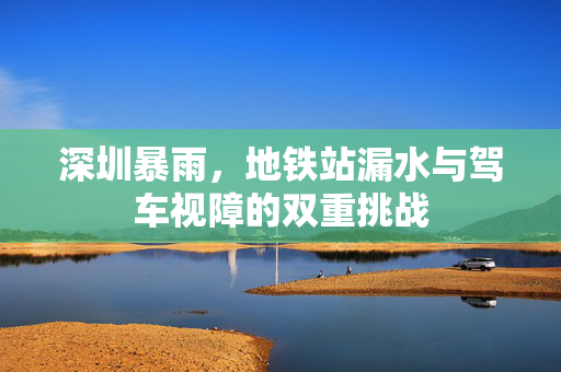 深圳暴雨，地铁站漏水与驾车视障的双重挑战