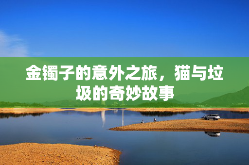 金镯子的意外之旅，猫与垃圾的奇妙故事