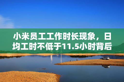 小米员工工作时长现象，日均工时不低于11.5小时背后的探讨