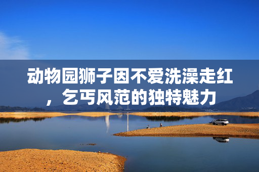 动物园狮子因不爱洗澡走红，乞丐风范的独特魅力