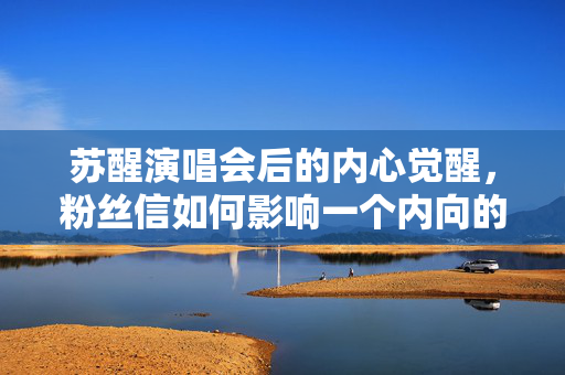 苏醒演唱会后的内心觉醒，粉丝信如何影响一个内向的歌手