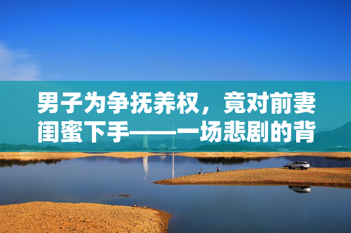 男子为争抚养权，竟对前妻闺蜜下手——一场悲剧的背后