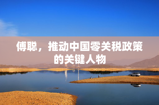 傅聪，推动中国零关税政策的关键人物