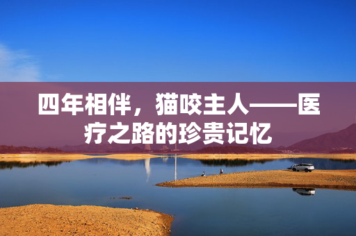 四年相伴，猫咬主人——医疗之路的珍贵记忆
