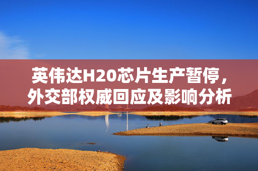 英伟达H20芯片生产暂停，外交部权威回应及影响分析
