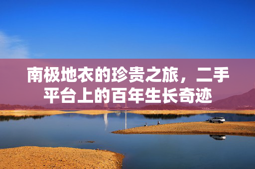 南极地衣的珍贵之旅，二手平台上的百年生长奇迹