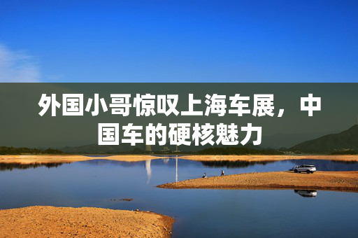 外国小哥惊叹上海车展，中国车的硬核魅力
