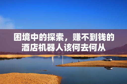 困境中的探索，赚不到钱的酒店机器人该何去何从