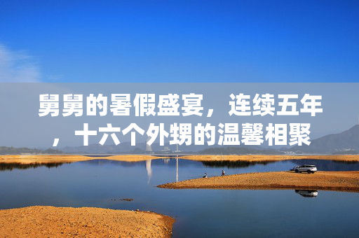 舅舅的暑假盛宴，连续五年，十六个外甥的温馨相聚