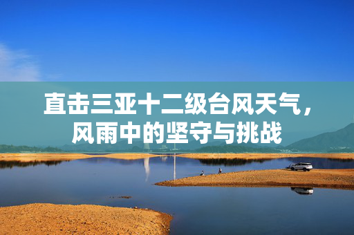 直击三亚十二级台风天气，风雨中的坚守与挑战