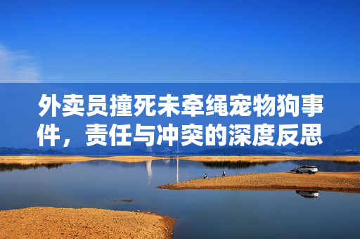 外卖员撞死未牵绳宠物狗事件，责任与冲突的深度反思