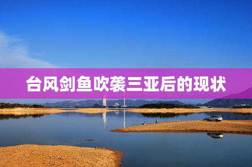 台风剑鱼吹袭三亚后的现状