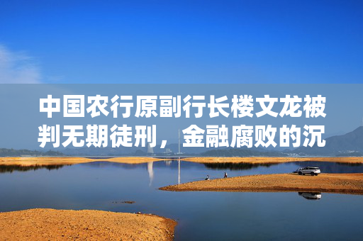 中国农行原副行长楼文龙被判无期徒刑，金融腐败的沉重代价