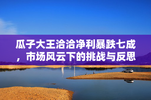 瓜子大王洽洽净利暴跌七成，市场风云下的挑战与反思