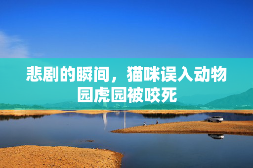悲剧的瞬间，猫咪误入动物园虎园被咬死