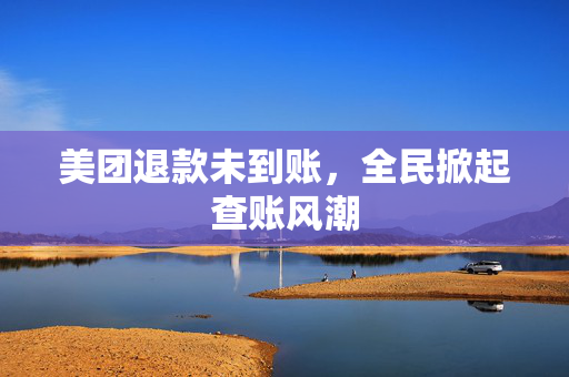 美团退款未到账，全民掀起查账风潮