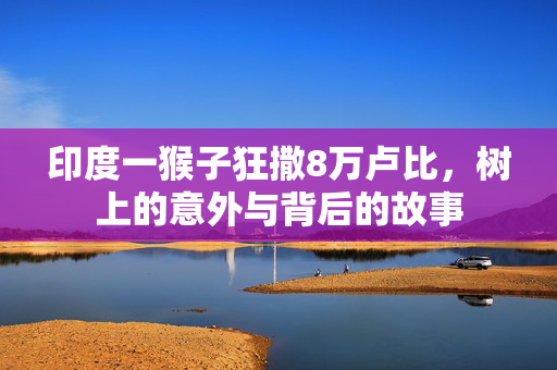 印度一猴子狂撒8万卢比，树上的意外与背后的故事