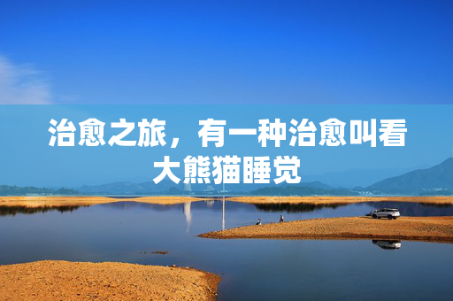 治愈之旅，有一种治愈叫看大熊猫睡觉