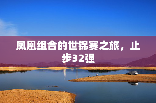 凤凰组合的世锦赛之旅，止步32强