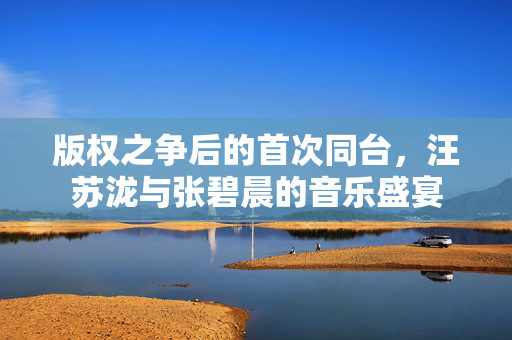 版权之争后的首次同台，汪苏泷与张碧晨的音乐盛宴