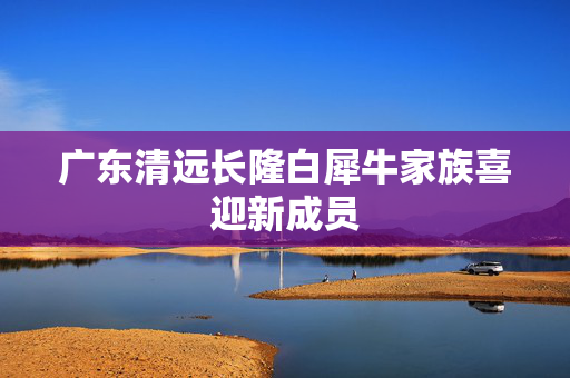 广东清远长隆白犀牛家族喜迎新成员