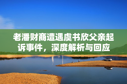 老潘财商遭遇虞书欣父亲起诉事件，深度解析与回应