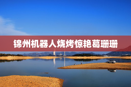 锦州机器人烧烤惊艳葛珊珊