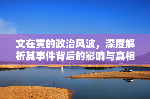 文在寅的政治风波，深度解析其事件背后的影响与真相