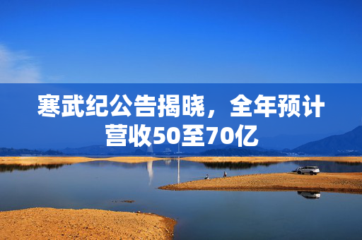 寒武纪公告揭晓，全年预计营收50至70亿