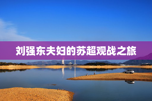 刘强东夫妇的苏超观战之旅